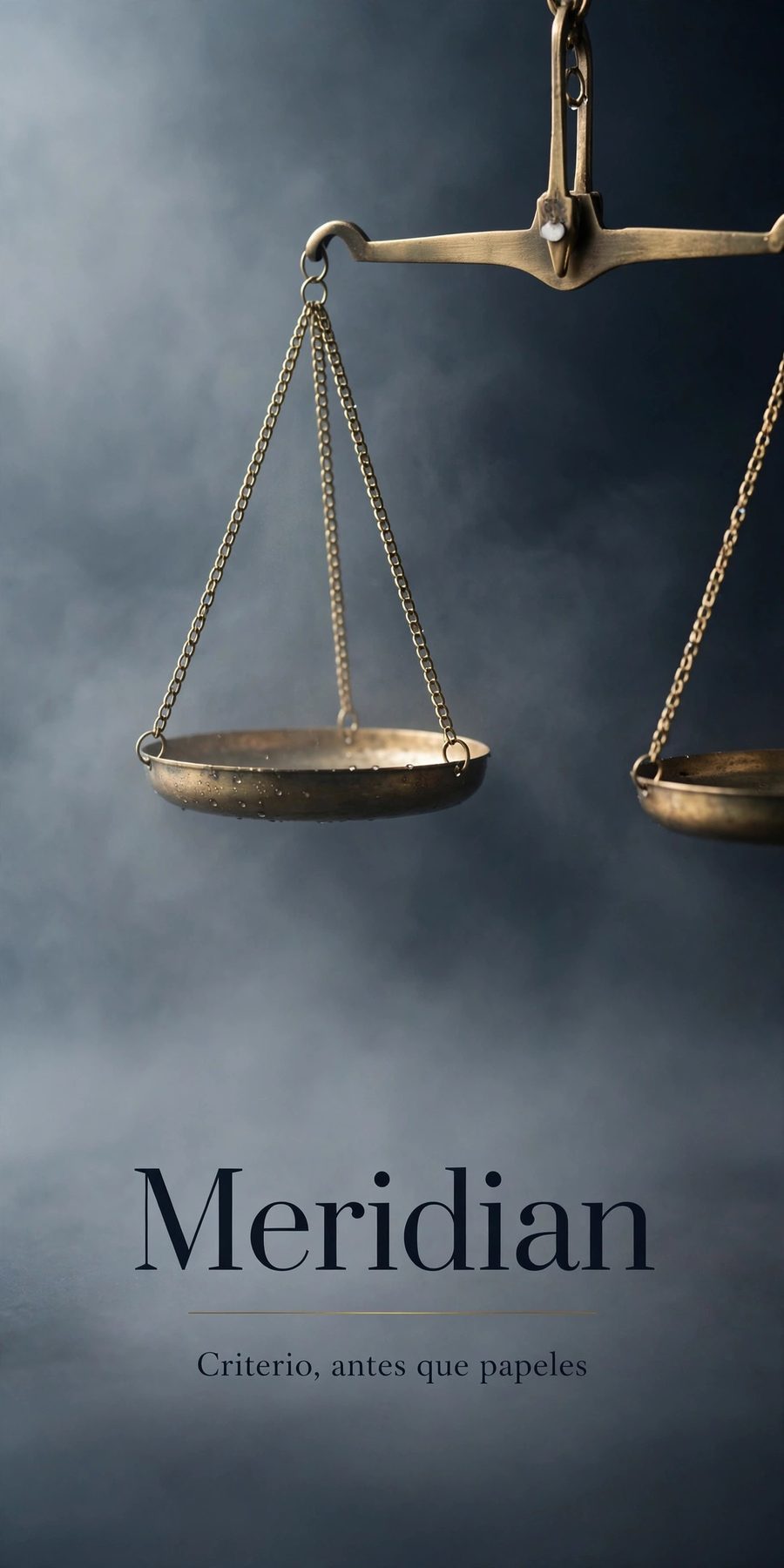 Sample piece for Meridian (Law firm) designed by Desy