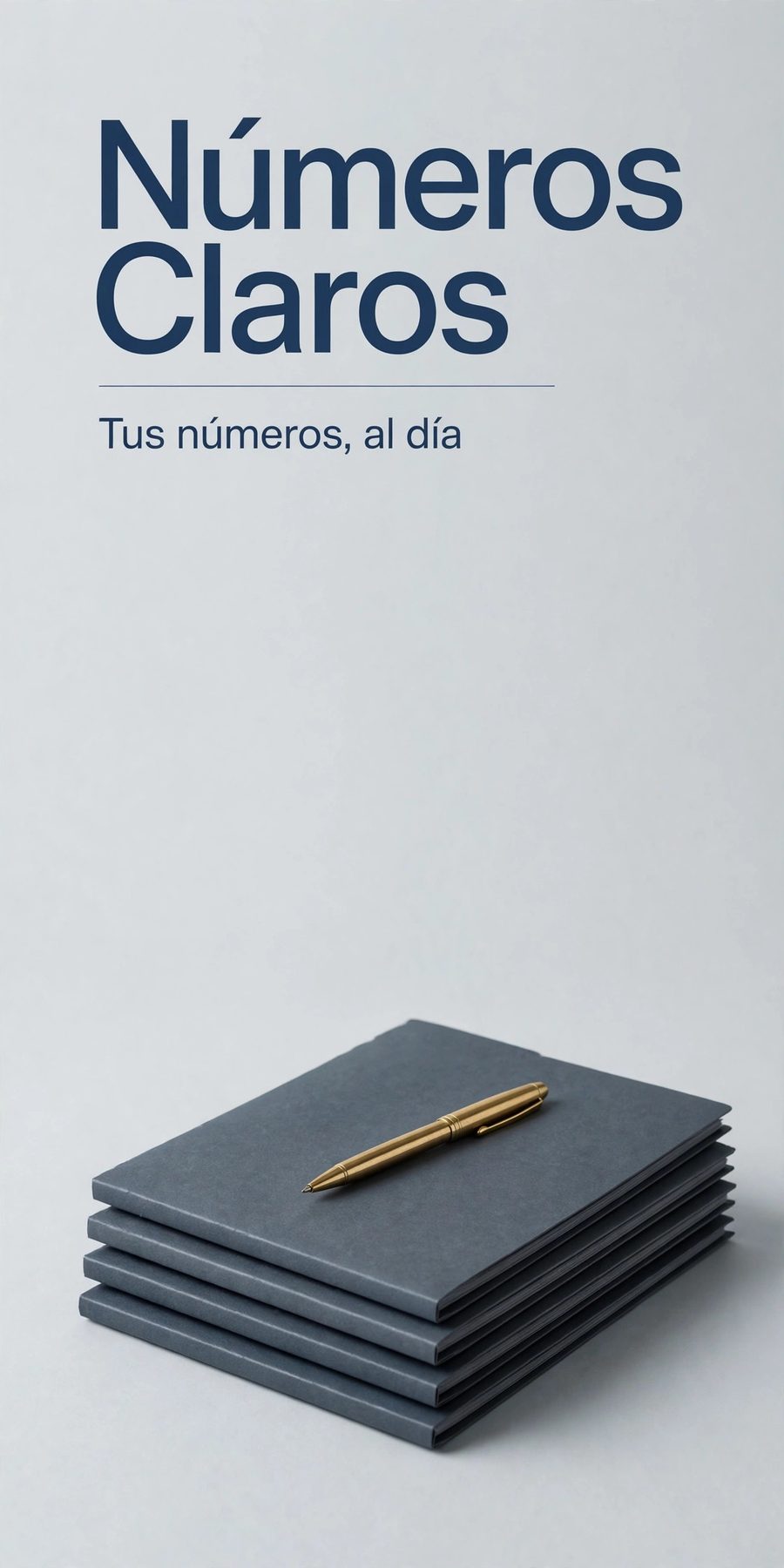 Sample piece for Números Claros (Accounting firm) designed by Desy