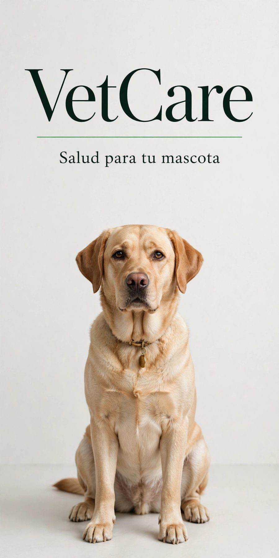 Sample piece for VetCare (Veterinary clinic) designed by Desy